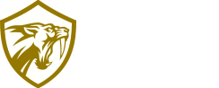 Prototype Games
